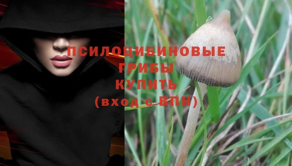 mdpv Алексин